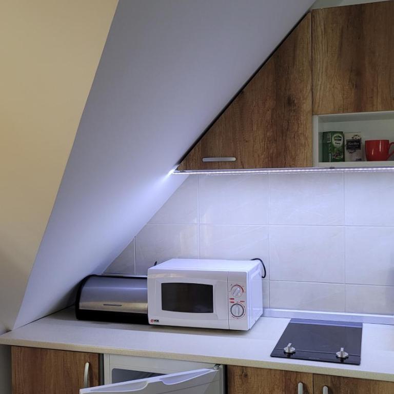 Apartmani Pavlović - Apartman sa Pogledom na Planinu - 26