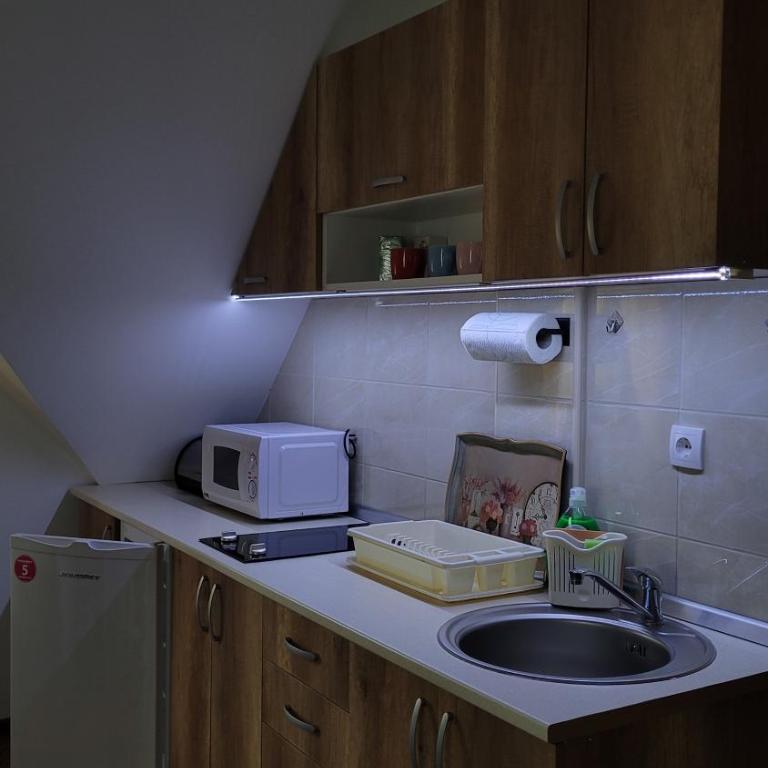 Apartmani Pavlović - Apartman sa Pogledom na Planinu - 28