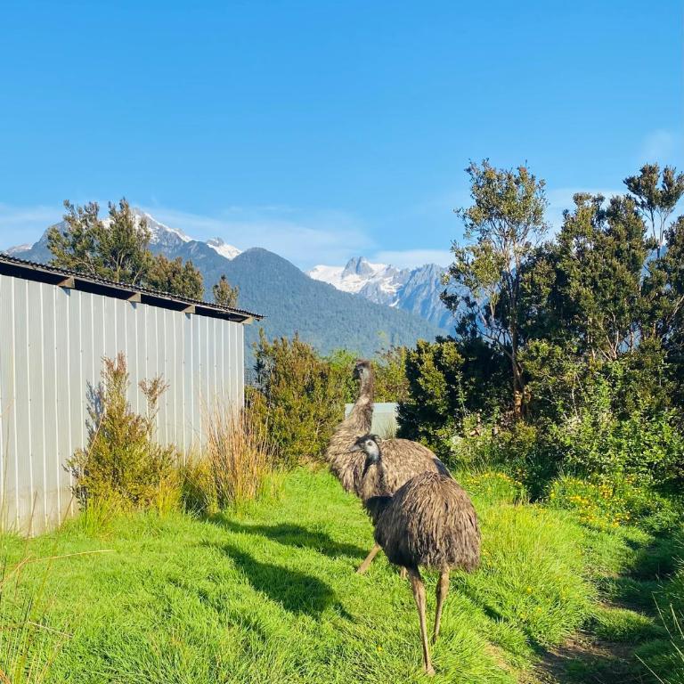 Rio Blanco - Two-Bedroom House - 30