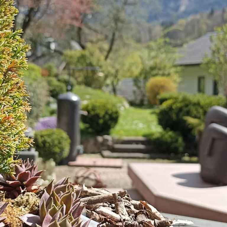 Gästehaus Waldeck - Familiensuite mit 2 Schlafzimmern - 7