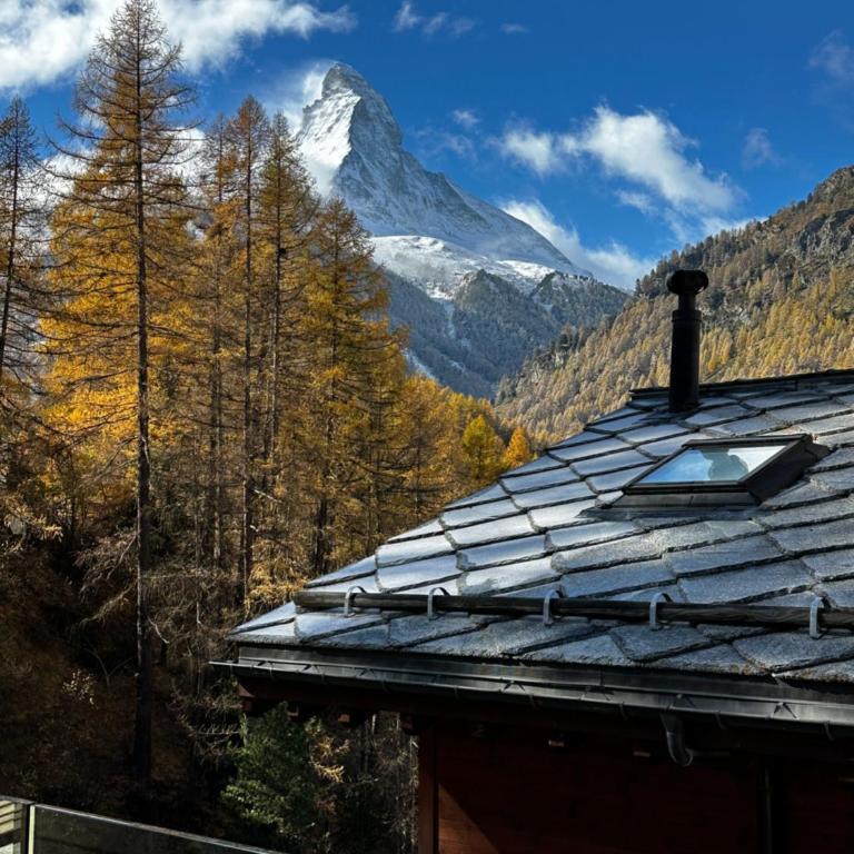 Chalet Alsuki Bellevue - Chalet 3 Chambres - 15