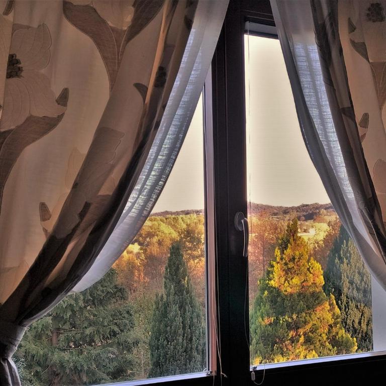 Ca'Luna Guest House - Junior Suite - 2