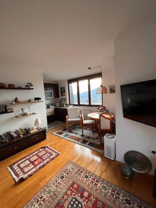 Spacious comfortable flat with splendid view - Apartman sa 1 Spavaćom Sobom - 10