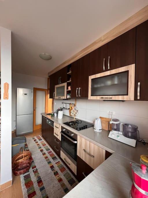 Spacious comfortable flat with splendid view - Apartman sa 1 Spavaćom Sobom - 11