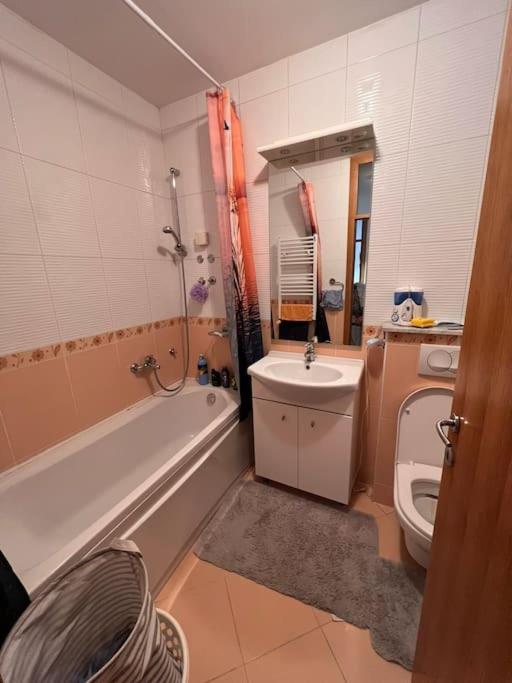 Spacious comfortable flat with splendid view - Apartman sa 1 Spavaćom Sobom - 18