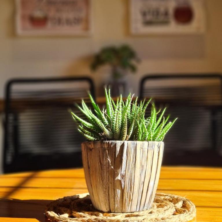 Mira Pampas Chascomús - Casa de 3 dormitorios - 20