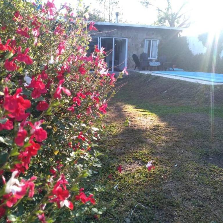 Casa Camino a Las Termas - Casa de 4 dormitorios - 22