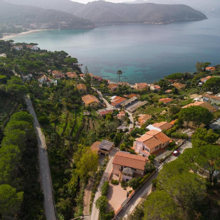Appartamento Il Prado - Goelba - Appartamento - 3