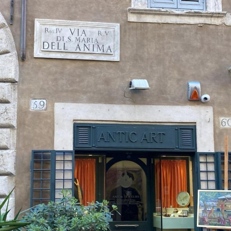 in the Rome's SOUL close to Navona square - Appartamento - 62