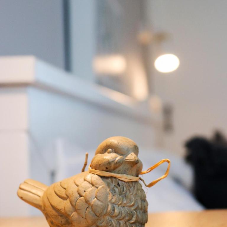 Heart of Niš - Apartman sa 1 Spavaćom Sobom - 27