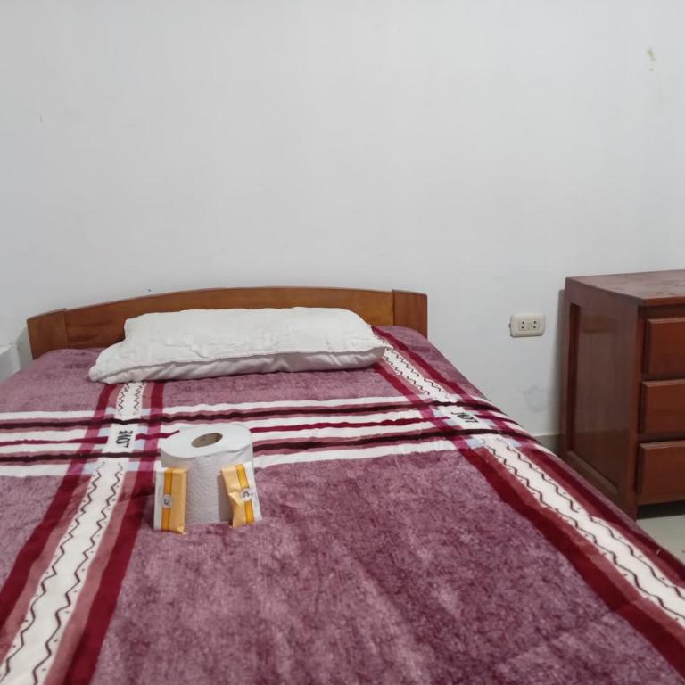 Hostel Home Trotamundos - Single Bed in Mixed Dormitory Room - 6