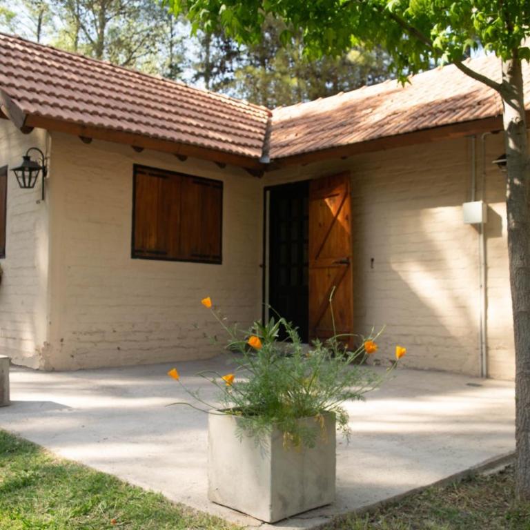 El Pinar Suizo - One-Bedroom Chalet - 5