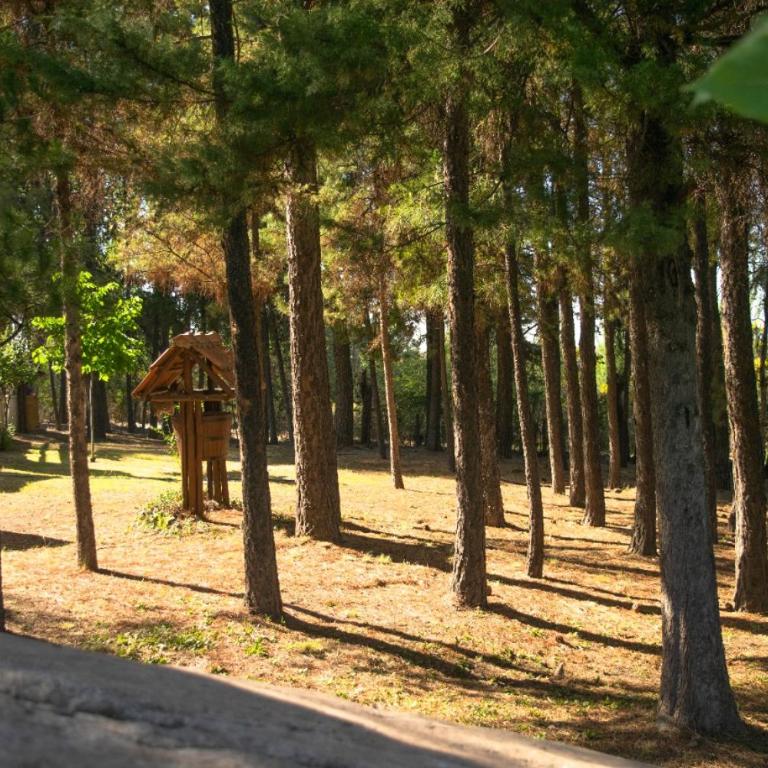 El Pinar Suizo - Chalet - 9
