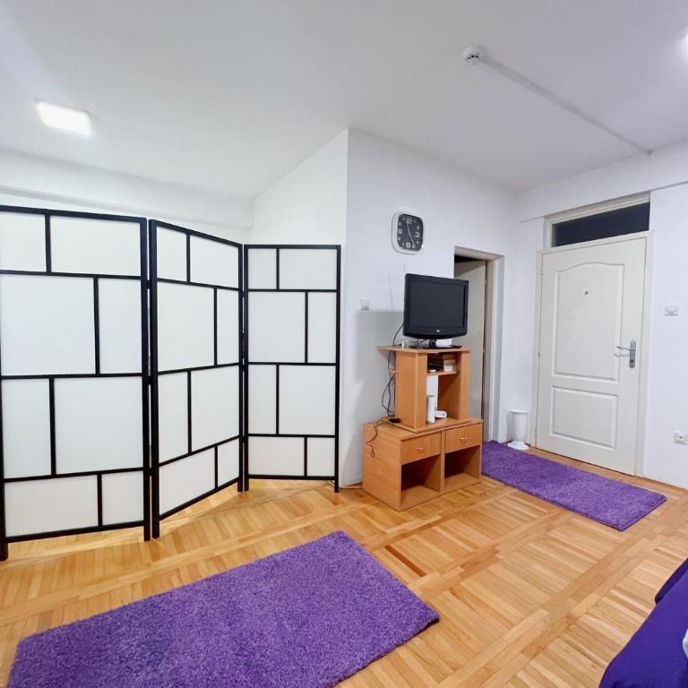 Apartman Lavanda Banja Koviljaca - Apartman sa 1 Spavaćom Sobom - 8
