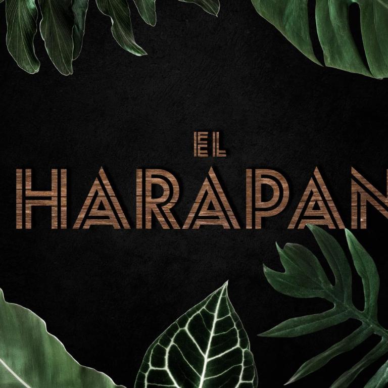 El Harapan, refúgiate en una selva a pie de playa - Apartamento de 1 dormitorio - 9