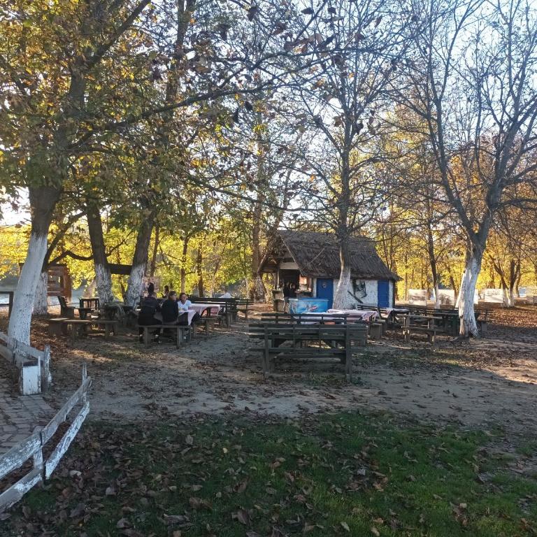 Apartman Lavanda Banja Koviljaca - Apartman sa 1 Spavaćom Sobom - 45