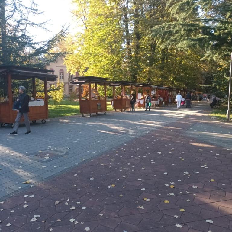 Apartman Lavanda Banja Koviljaca - Apartman sa 1 Spavaćom Sobom - 49