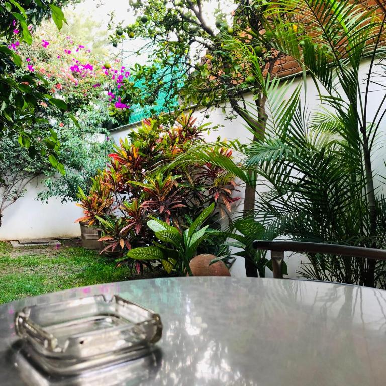 Los Nardos Hostel -pet friendly- - Standard Double Room - 14