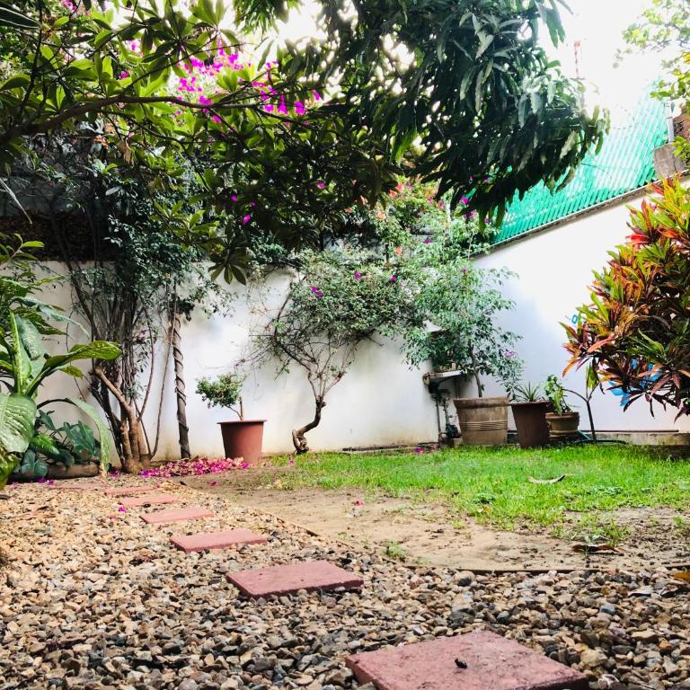 Los Nardos Hostel -pet friendly- - Standard Double Room - 15