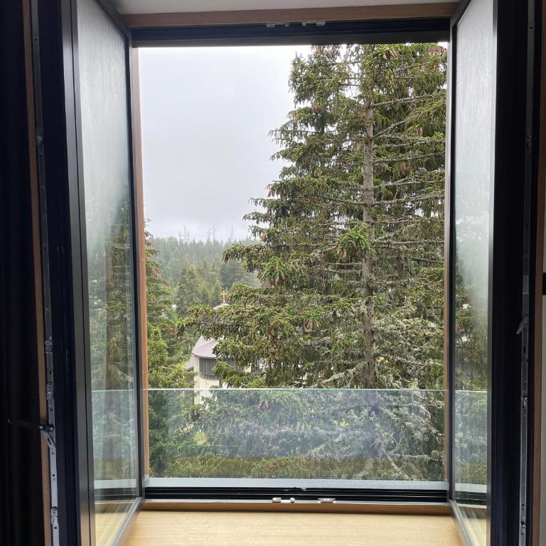 Woodside Apartment 431, Kopaonik - One separate bedroom 35m2- FREE Parking & SPA - One-Bedroom Apartment - 16