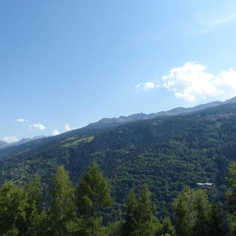 Appartement ski-in/ski-out à Montchavin, 5 pers, balcon - FR-1-329-26 - Appartement (5 Adultes) - 9