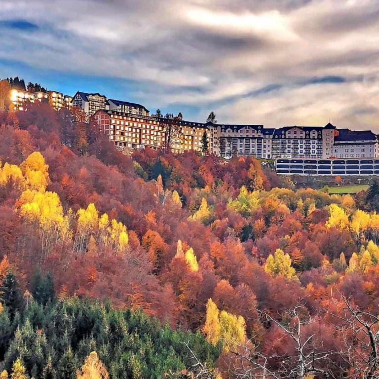 PLEASURE LUX GOLD - One-Bedroom Apartment - 40