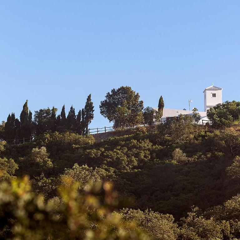Cortijo La Mina by LaJudería de Vejer - Luxury Villa - Villa - 46