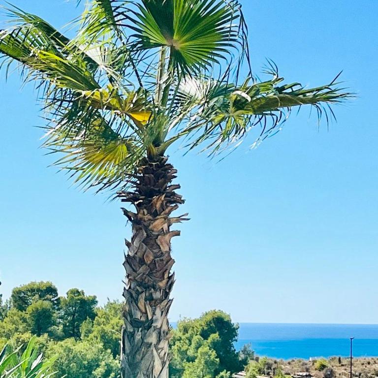 Sea Hills semidetached Luxury Villa - Villa de 3 dormitorios - 43