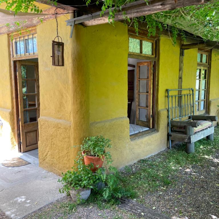 ocre y madera - Apartamento de 1 dormitorio - 3