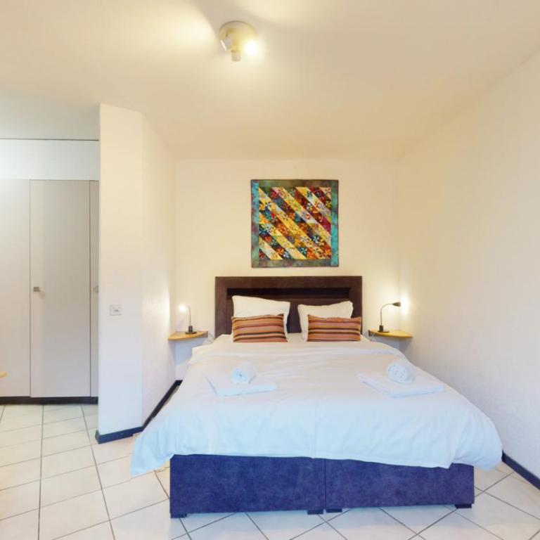 Spacious studio in a nice area in Sierre - Studio mit Kingsize-Bett - 6