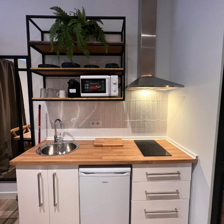 Loft Deluxe Herrería 6 - Vivienda Vacacional. - Apartamento de 1 dormitorio - 1