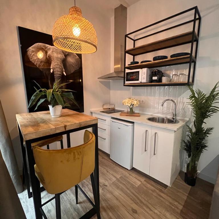 Loft Deluxe Herrería 6 - Vivienda Vacacional. - Apartamento de 1 dormitorio - 2