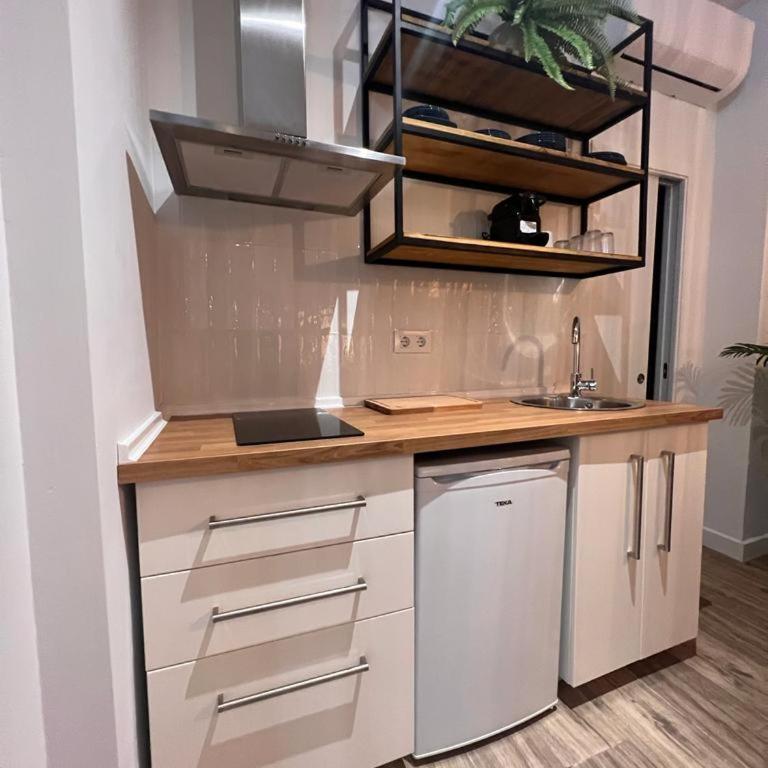 Loft Deluxe Herrería 6 - Vivienda Vacacional. - Apartamento de 1 dormitorio - 4
