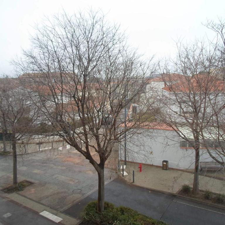 Studio équipé près des Thermes avec parking et animaux admis - Studio - 9