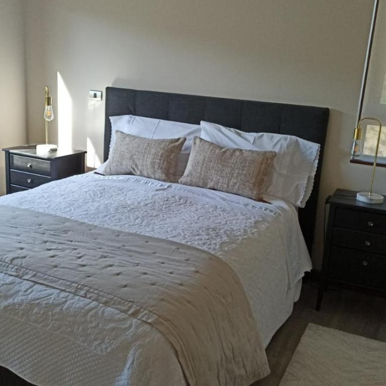 Nuevo departamento con estacionamiento y a pasos del centro de Puerto Varas - Two-Bedroom Apartment - 5