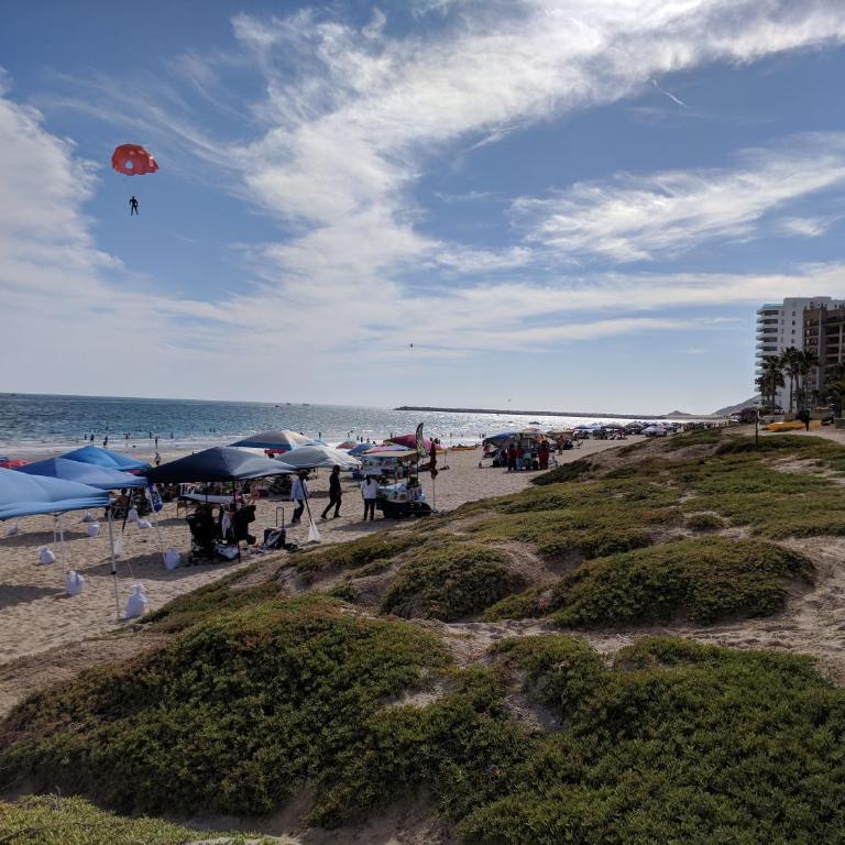 Bella Sirena Beauty 201-C - Stunning Views & Beachfront Bliss - Apartamento de 2 dormitorios - 37