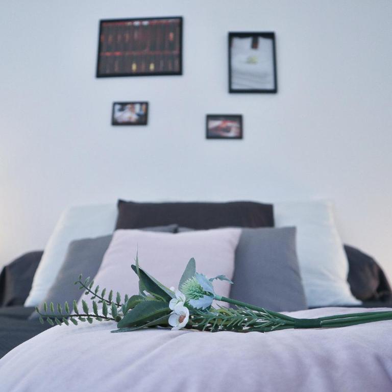 Le BarberShop, centre ville, parking gratuit - Deluxe Double Studio - 4