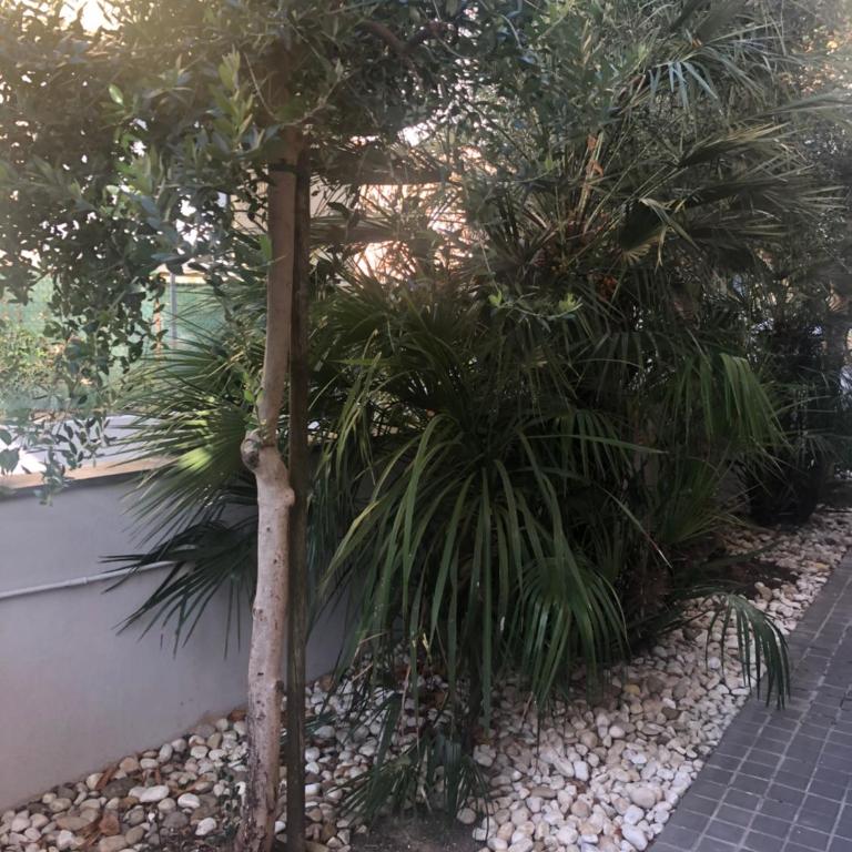 a casa Minerva - Appartamento con 2 Camere da Letto - 9