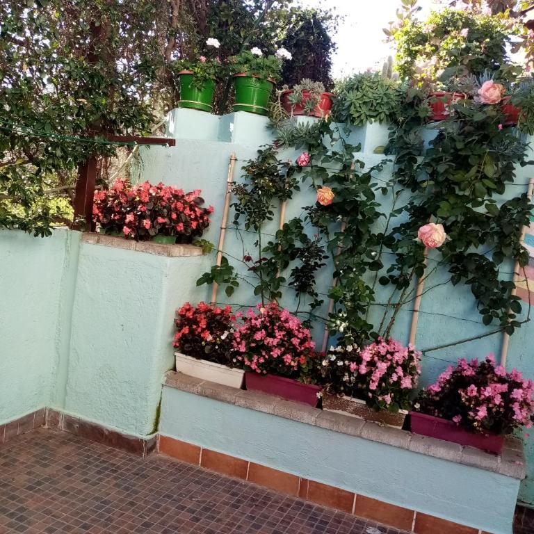 Casa Alice Wi-Fi Giardino Tranquillità Famiglie - Casa con 2 Camere da Letto - 19