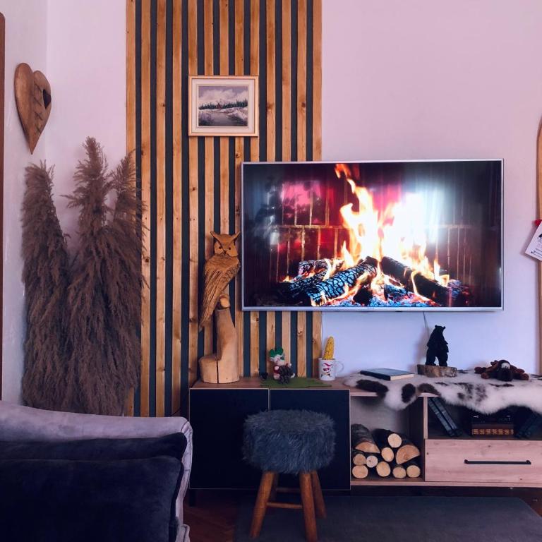 CENTRAL Kolašin - Apartman sa 2 Spavaće Sobe - 25