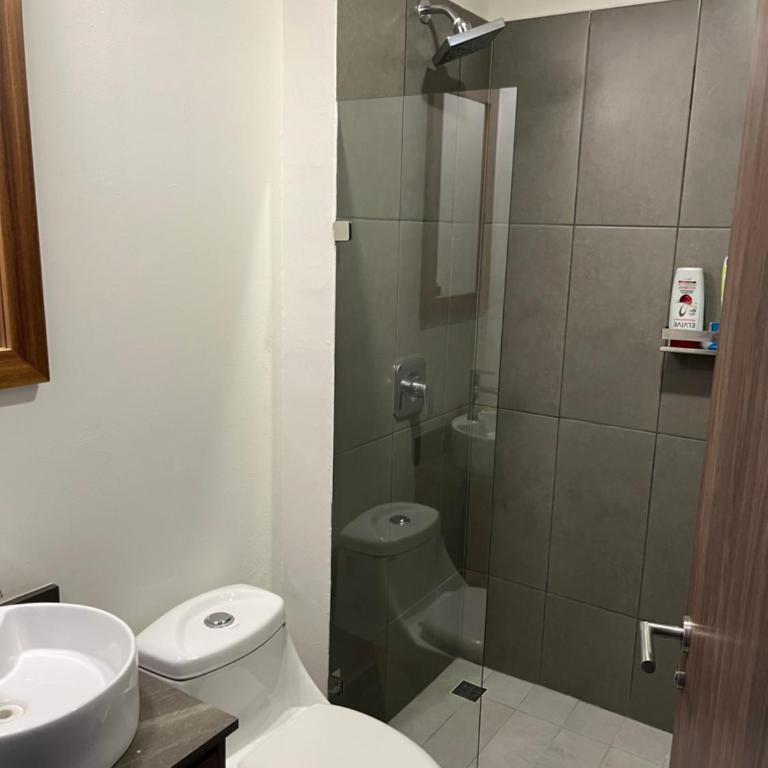 Departamento nuevo valle imperial - Two-Bedroom Apartment - 9
