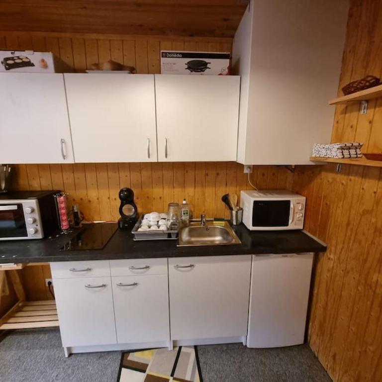 Studio 4 couchages dans un chalet tout confort - Appartement 1 Chambre - 6