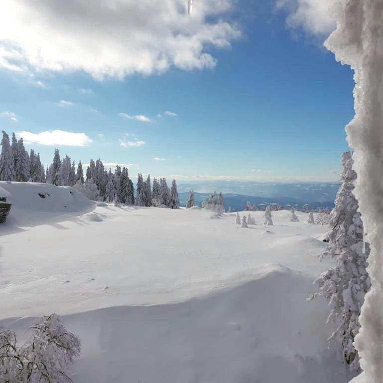 Kopaonik Župa 505 - One-Bedroom Apartment - 30