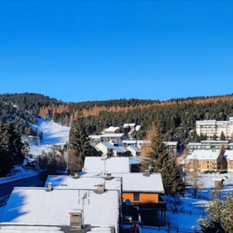 Apt confortable au pied des pistes et de la forêt - Appartement 1 Chambre - 50