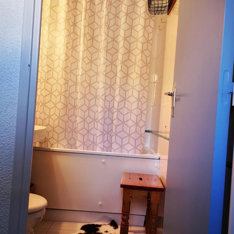 Apt confortable au pied des pistes et de la forêt - Appartement 1 Chambre - 28