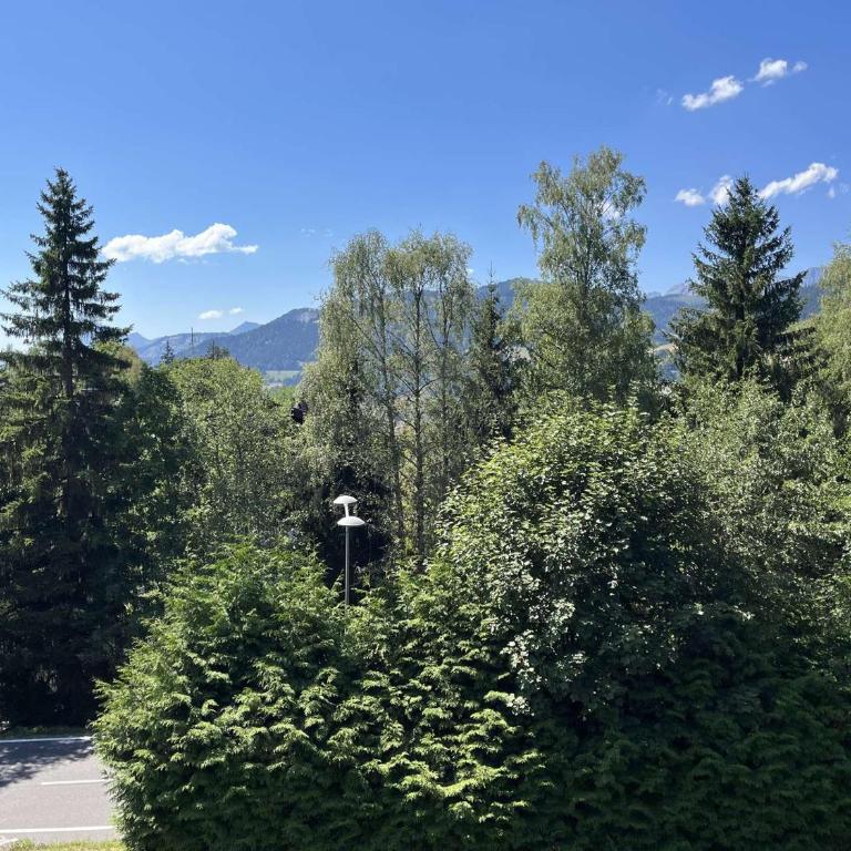 Charmant 2 pièces, 4 couchages, Megève - À 400m des remontées mécaniques, balcon et parking inclus - FR-1-597-169 - Appartement - 3