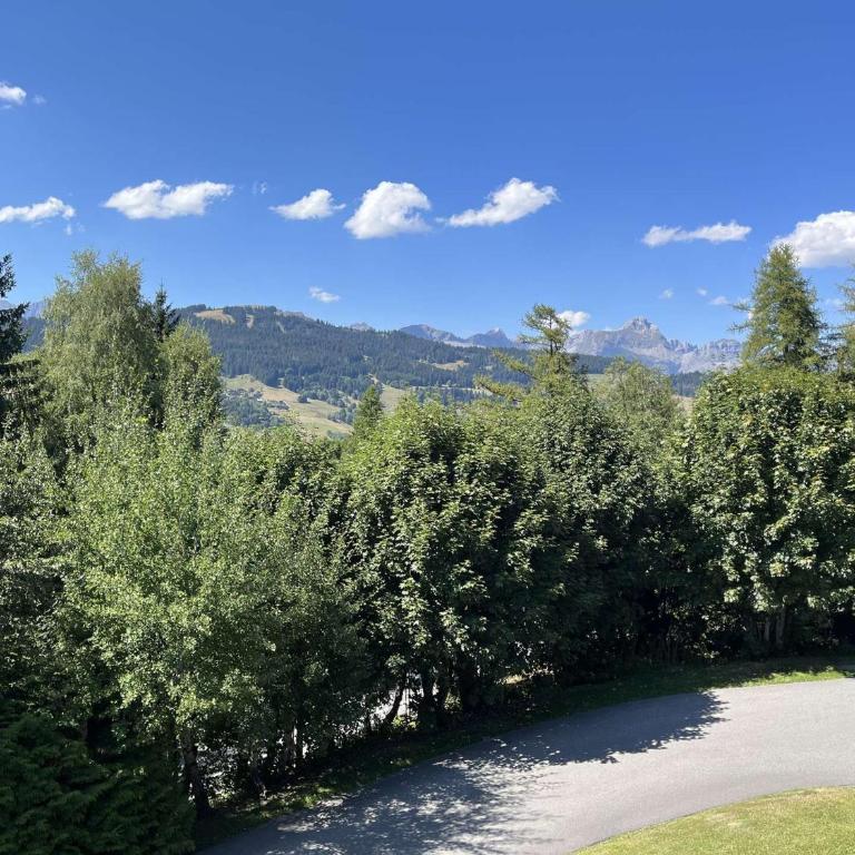Charmant 2 pièces, 4 couchages, Megève - À 400m des remontées mécaniques, balcon et parking inclus - FR-1-597-169 - Appartement - 4