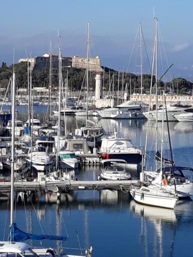 Les Violettes 3 pièces centre ville Antibes - Apartment mit 2 Schlafzimmern - 19