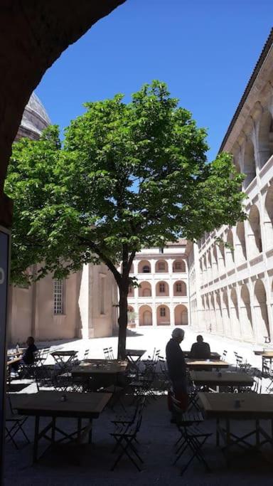 plein coeur du quartier du Panier . Chaleureux T2. - Appartement 1 Chambre - 24