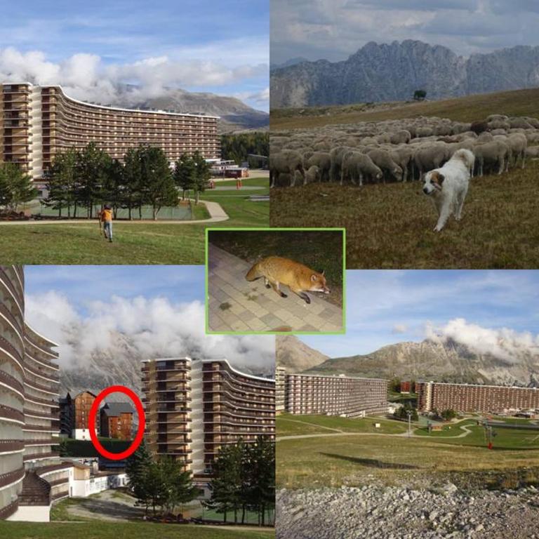 Appartement 8-10 personnes SUPERDEVOLUY Hautes Alpes REZ DE CHAUSSÉE Vue panoramique 3 CHAMBRES - Apartment mit 3 Schlafzimmern - 2